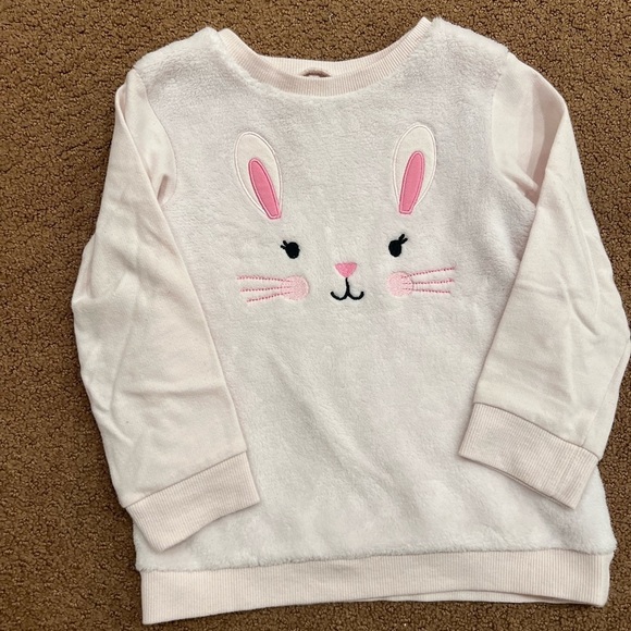 Bundle of Two Girls Sweater and Sweatshirt Size 3T - Picture 4 of 5
